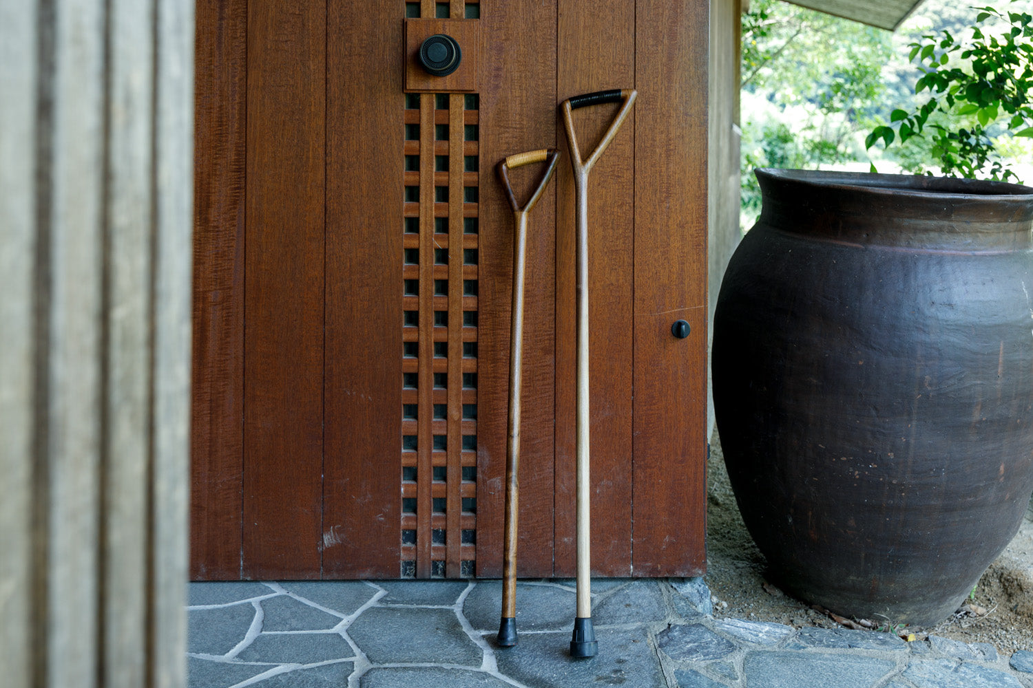 天然木の杖 ・ ステッキ